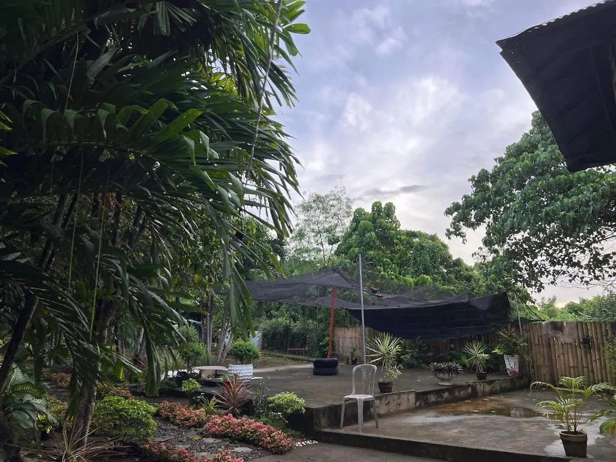 Bohol Island Homestay 다우이스