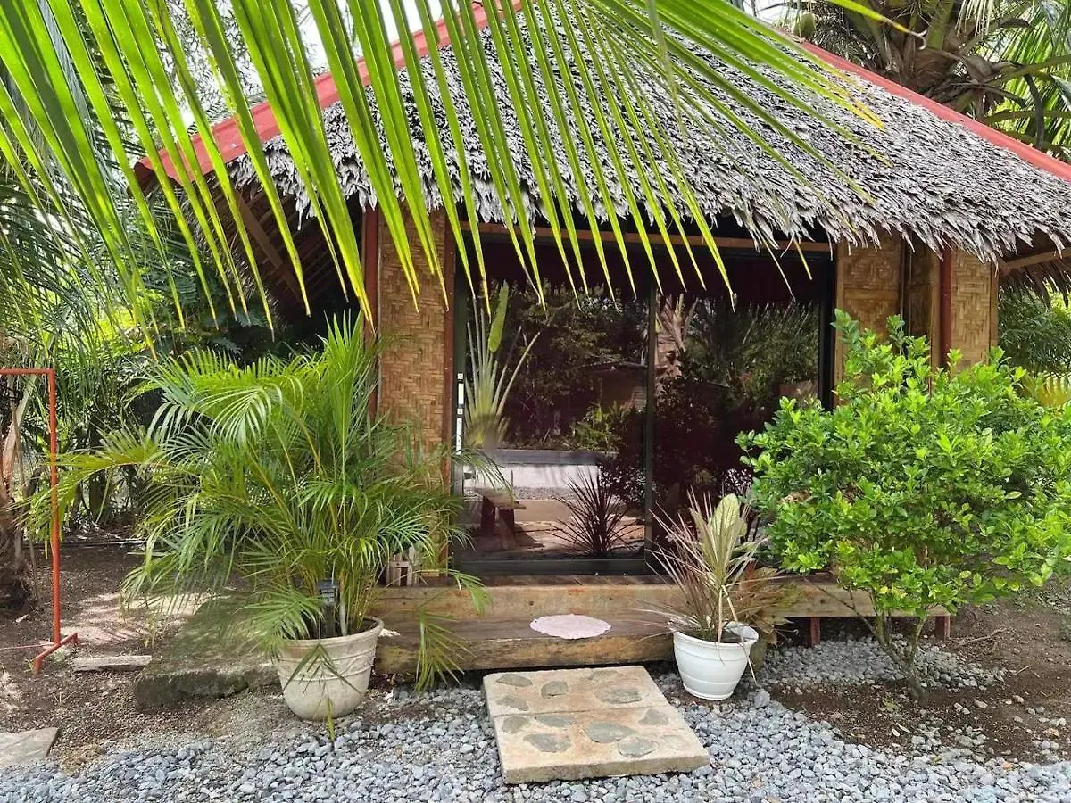 ** B&B Bohol Island Homestay 다우이스 필리핀