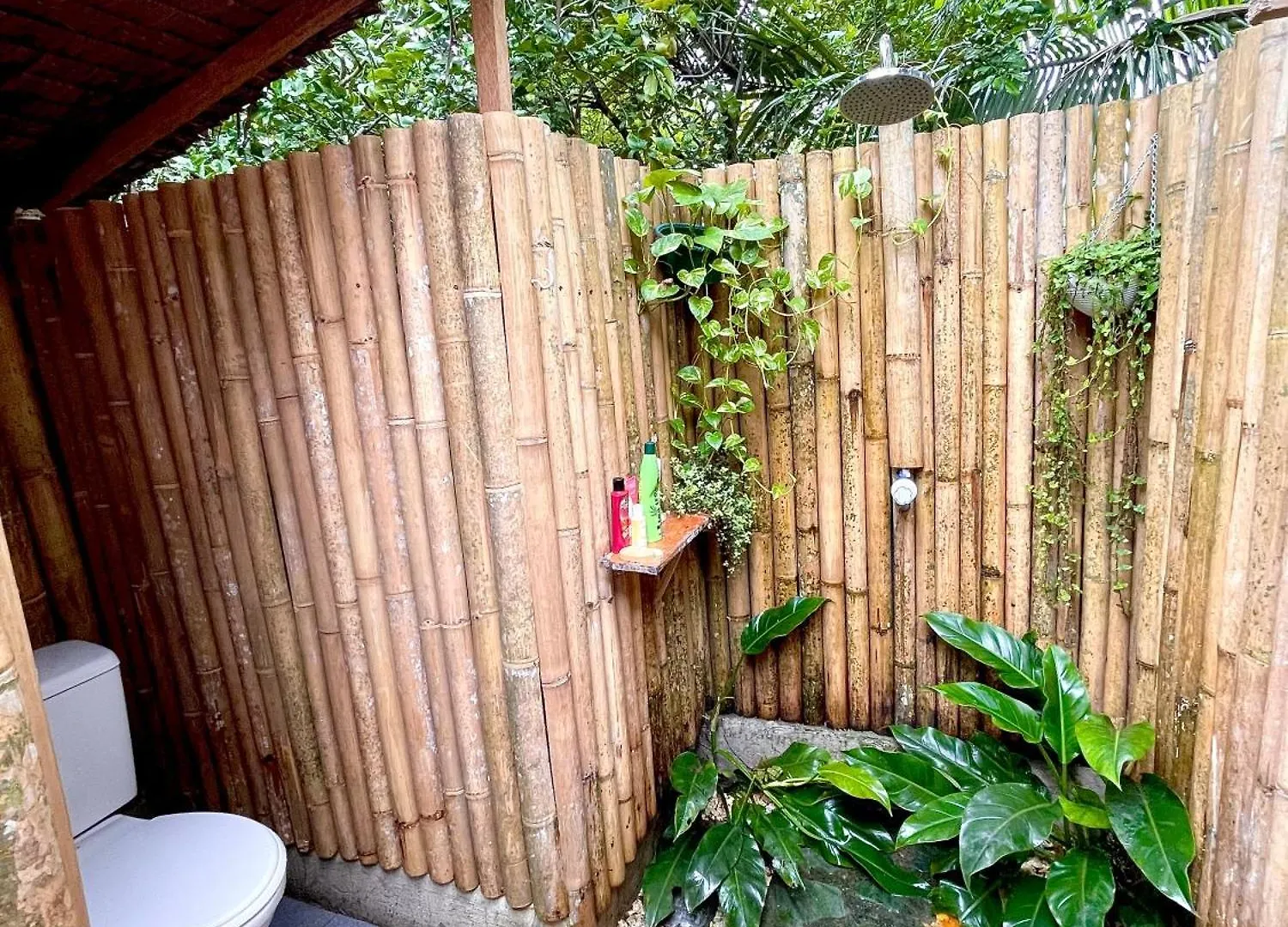 Bohol Island Homestay Dauis 2*,  フィリピン
