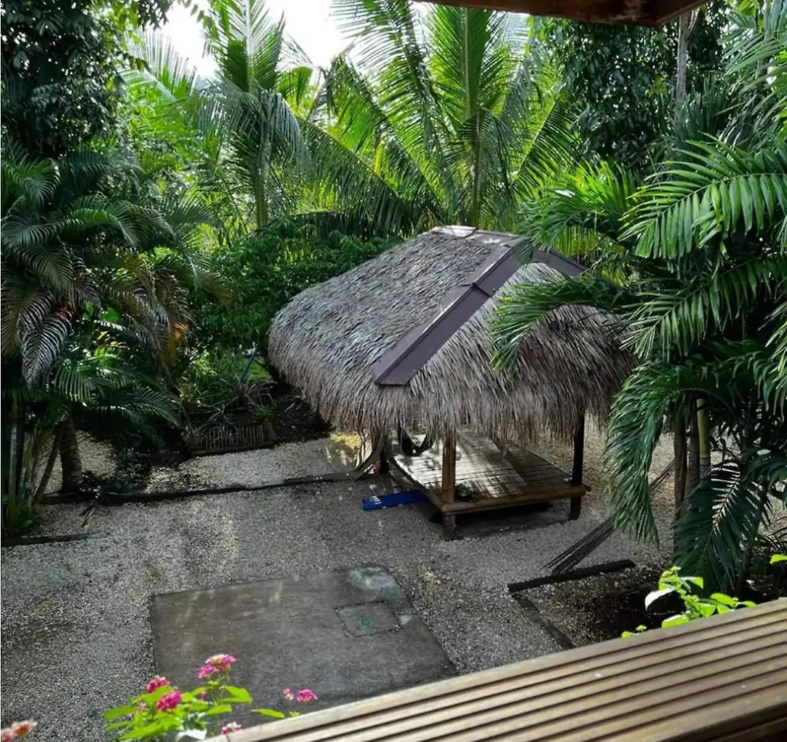 Bohol Island Homestay 다우이스 2*,  필리핀